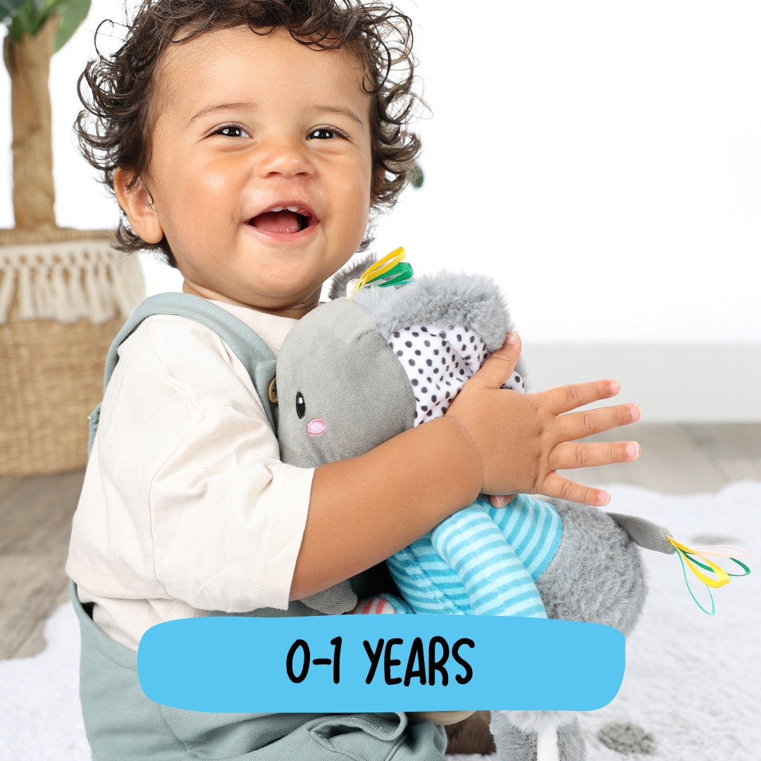 Baby Toys 0–12 Months