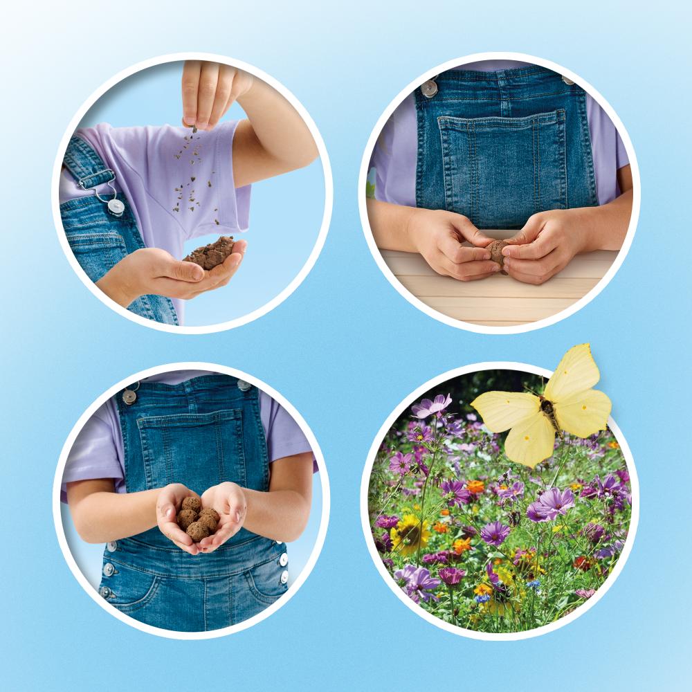 Butterfly Flower Bombs