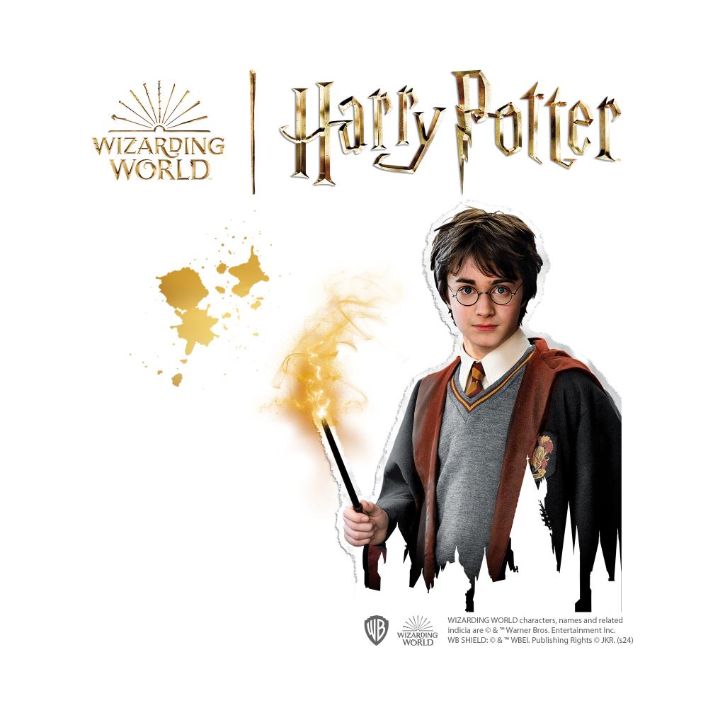 Harry Potter - Iron On Beads Set Figures
