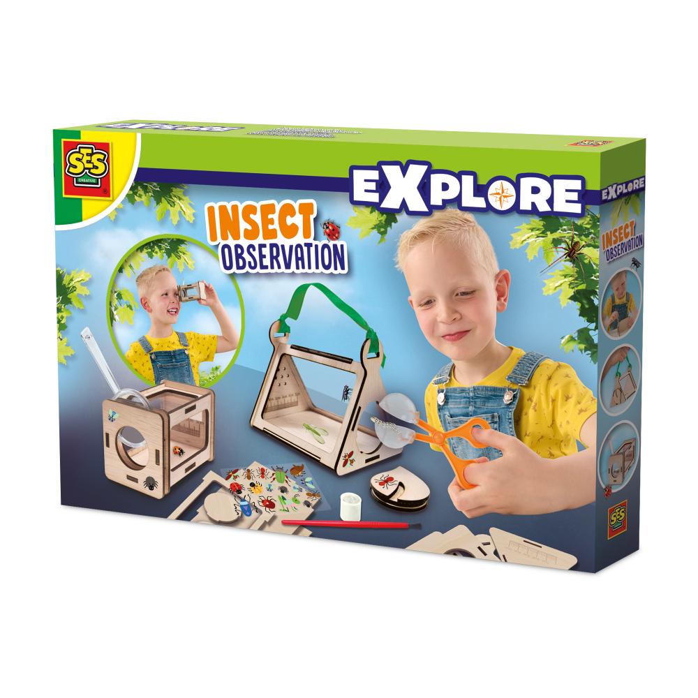 Insect Observation