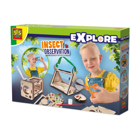 Insect Observation